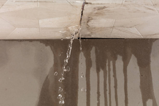 Professional Water Damage Inspection technician working in Barry, TX